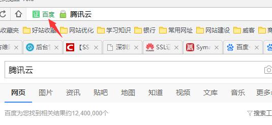 HTTPS 公司名显示2